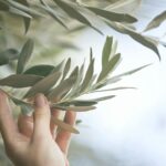 découvrez comment nettoyer votre cœur naturellement en 2025 grâce à des conseils, remèdes et habitudes saines pour favoriser la santé cardiovasculaire et renforcer votre bien-être au quotidien.