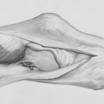 découvrez les meilleurs remèdes pour soulager la tendinite d'achille et retrouver mobilité et confort rapidement.