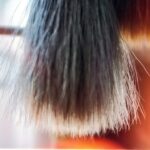 découvrez des remèdes naturels efficaces pour traiter la perte de poils chez les chiens et garder leur pelage sain et brillant.